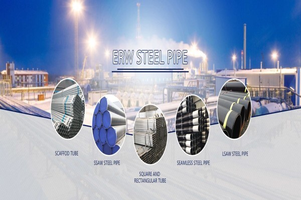 Tianjin Xinyue Industrial and Trade Co.,Ltd