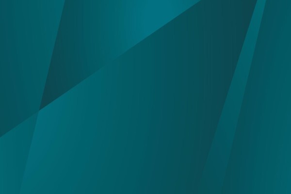 BEE Analyst & Associates