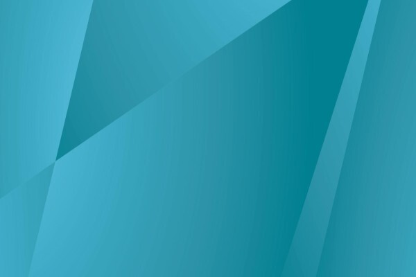 BEE Analyst & Associates