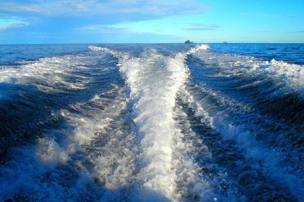Coracle Online