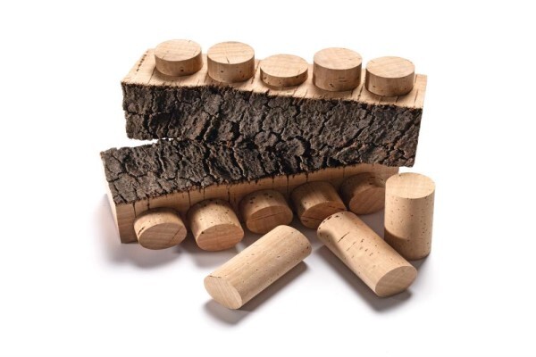 Cork Council