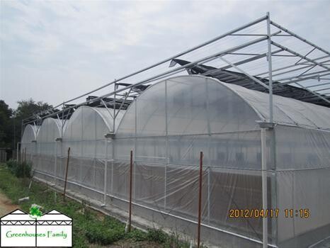 Commercial Greenhouses
