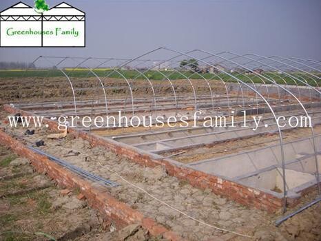 Commercial Greenhouses