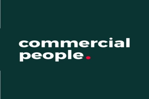 Company Name Properties