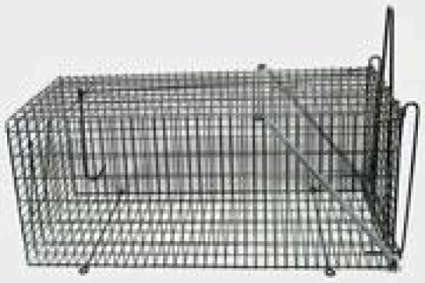 Concept Cages