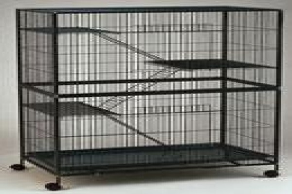 Concept Cages