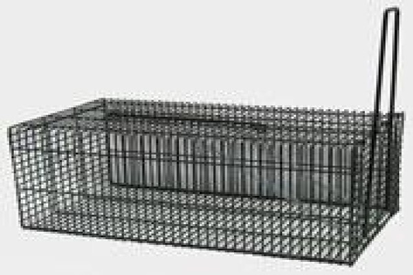 Concept Cages