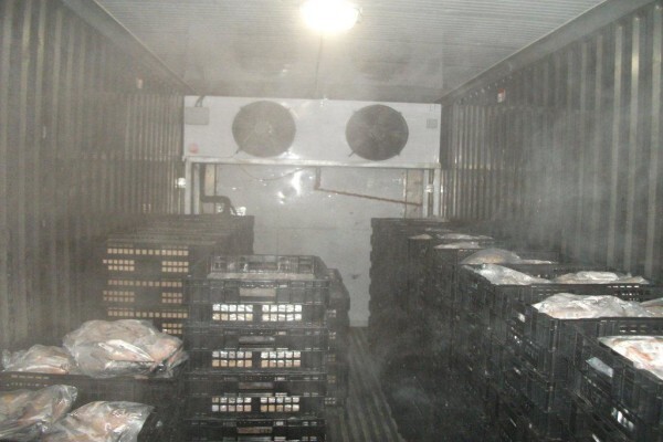 Container Choice