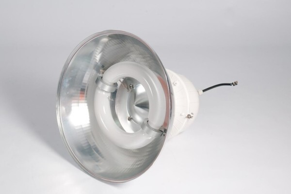 Conversion Lighting