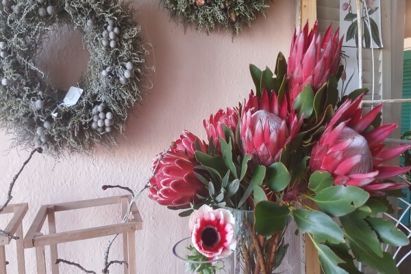 Durbanville Florist