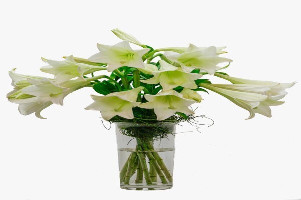 Durbanville Florist