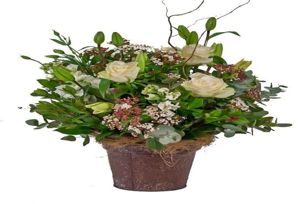 Durbanville Florist