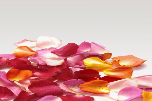 Durbanville Florist