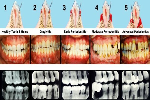 Dr Riaan Kritzinger ( Dental Practice)