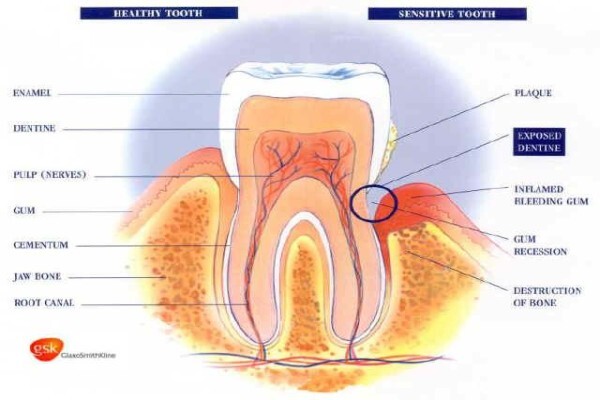 Dr Riaan Kritzinger ( Dental Practice)