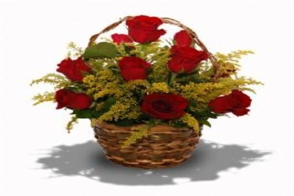 Flowers.Co.Za