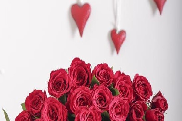 Inmotion Flowers