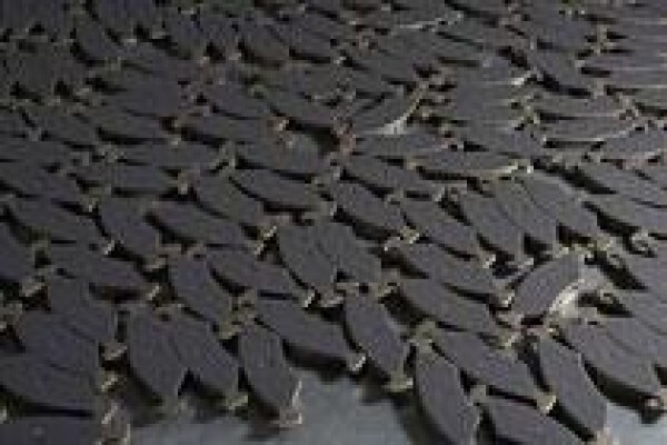 Safeline Brakes
