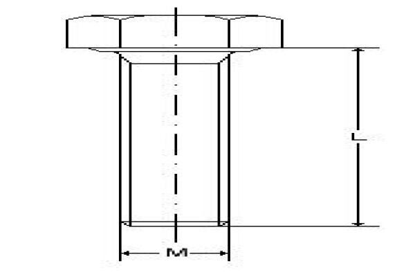 Bolt And Nut World