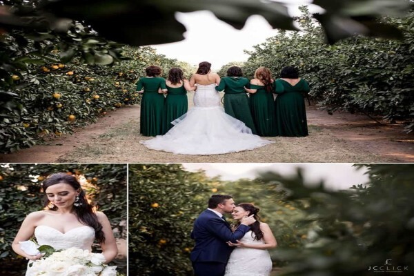 Bridal Manor Wedding Dresses