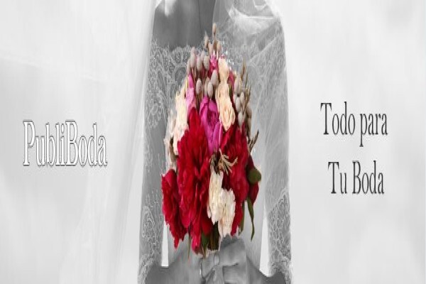 Publiboda