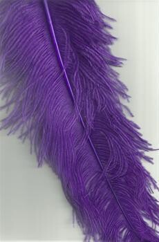 Feathers Catering Cc