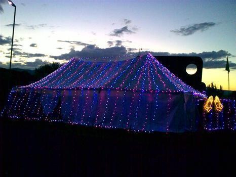 Dolphin Vibes Function Hire