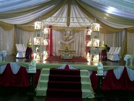 Dolphin Vibes Function Hire