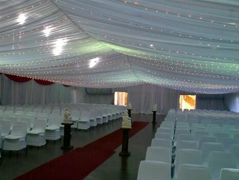 Dolphin Vibes Function Hire