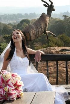 Creative Occasions & Ideas