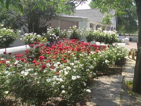 Corkwood Self Catering Venue