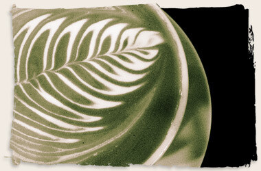Java Espress