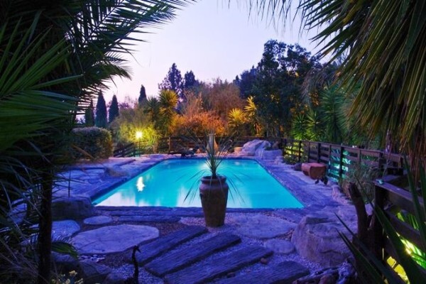 Pine Tree Lodge