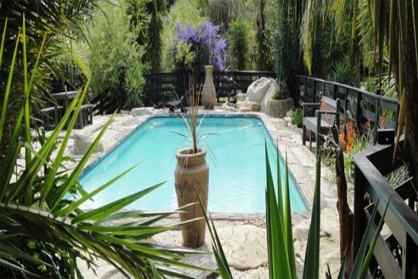 Pine Tree Lodge