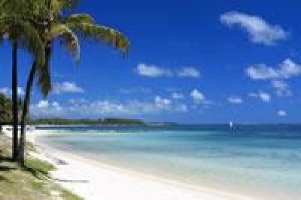 Mint Productions & Destinations