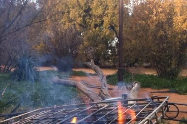 Spit-Braai King Hq