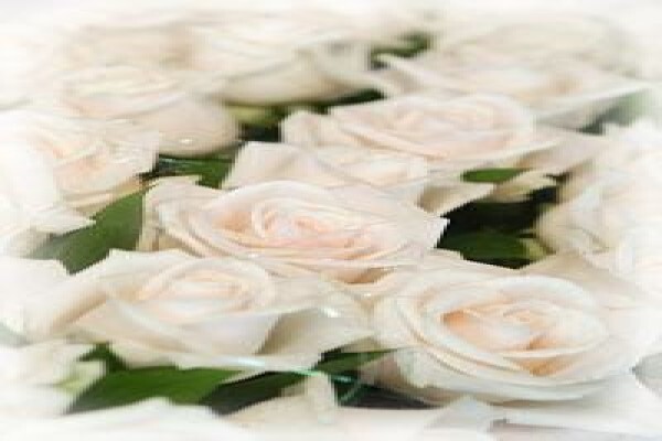 Hermanus Weddings
