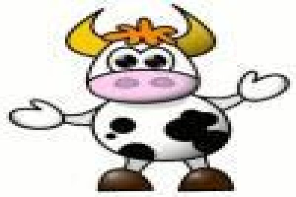 Mighty Moo (Pty)Ltd