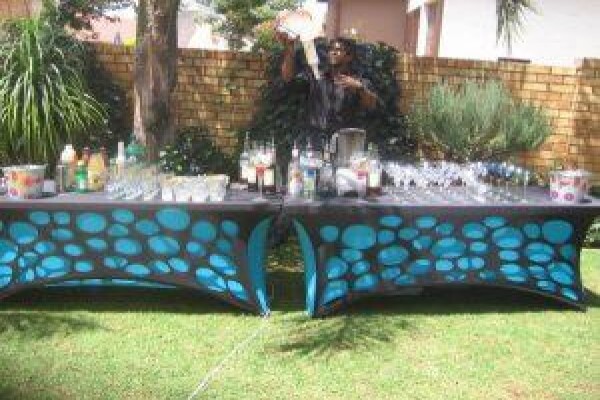The Mix Mobile Bars