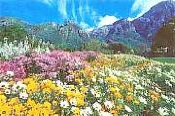 Discover The Cape