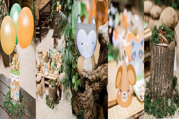 Kiddies Theme Parties