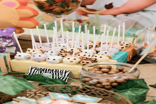 Kiddies Theme Parties