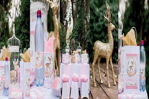 Kiddies Theme Parties
