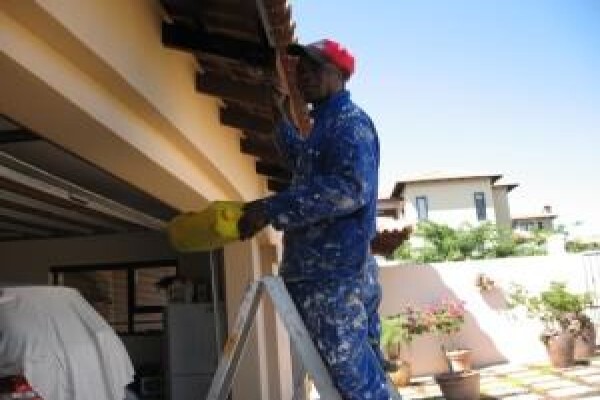 Limbika Coatings And Finishes
