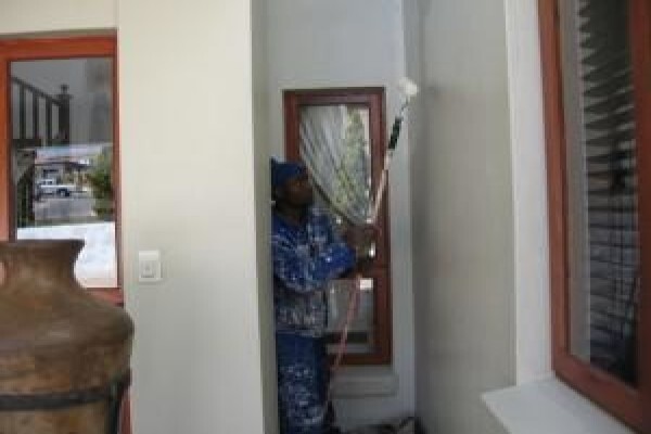 Limbika Coatings And Finishes