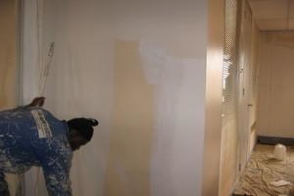 Limbika Coatings And Finishes