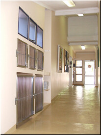Lynnwood Glen Bird & Animal Hospital