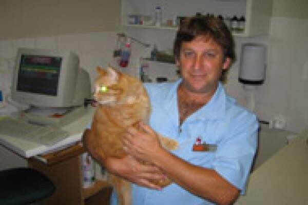 Tygerberg Animal Hospital:Goodwood