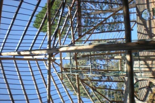 Buildup