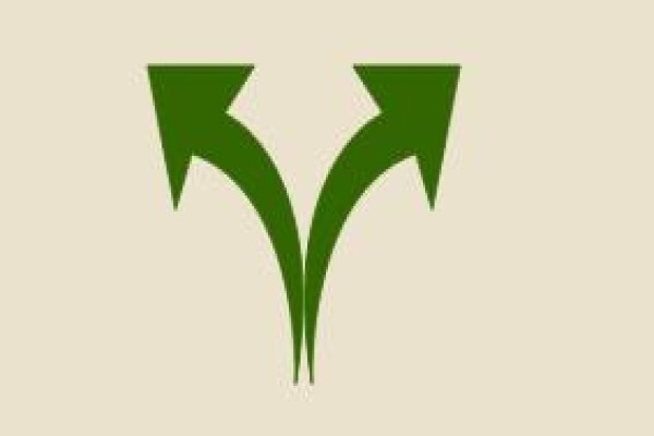 Southpole Investments Group